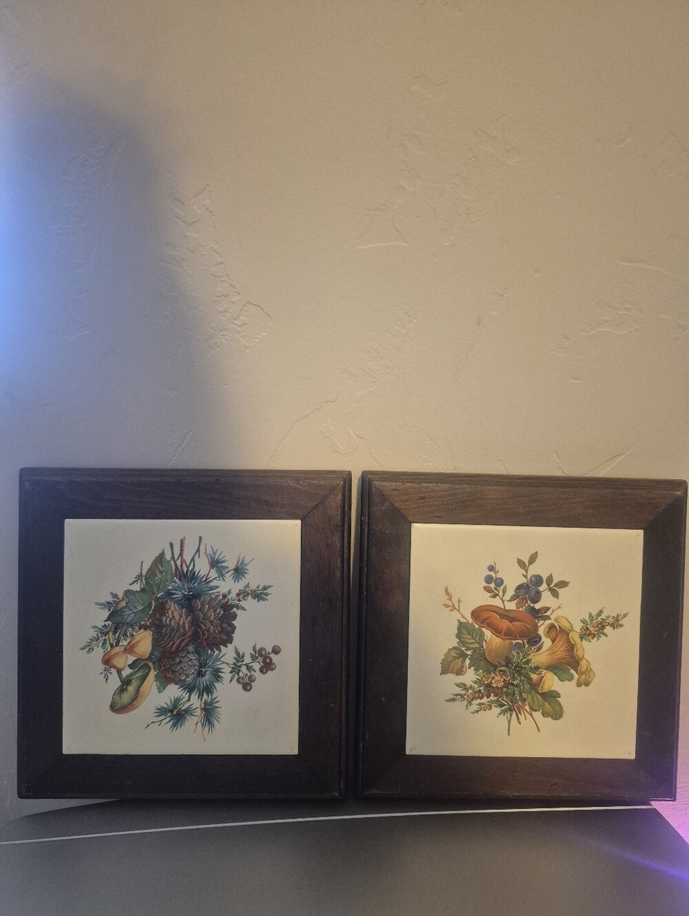 Set of 2 Vintage Botanical Tile Cooling Plates in Dark Wood Frames